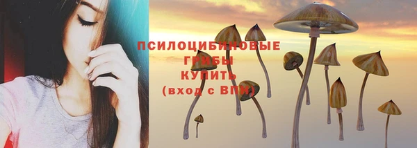 сатива Алексеевка