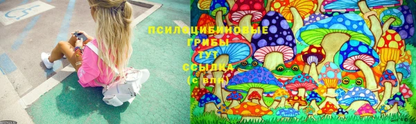 spice Алексин