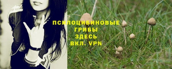 героин Алзамай