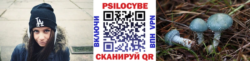 кракен ТОР  Уяр  Галлюциногенные грибы MAGIC MUSHROOMS 